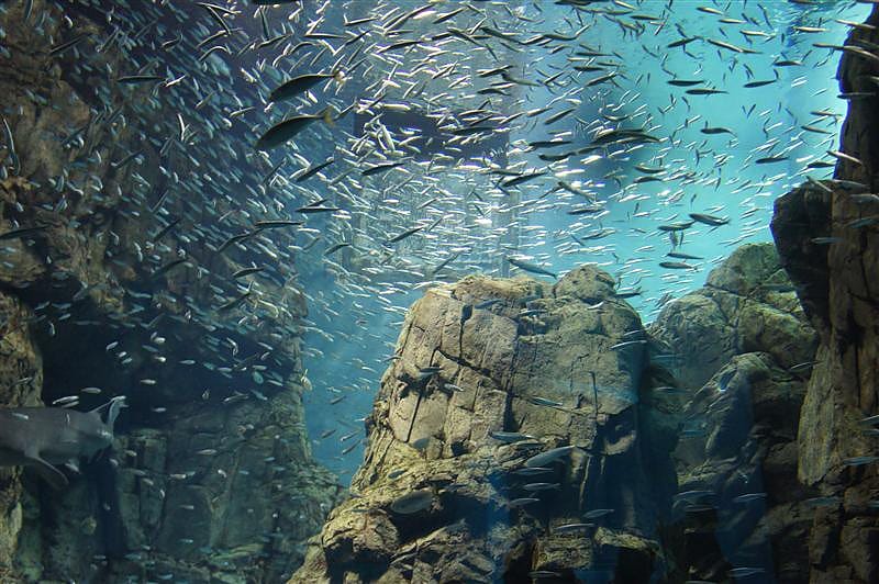 DSC00542.JPG DSC00542.JPG