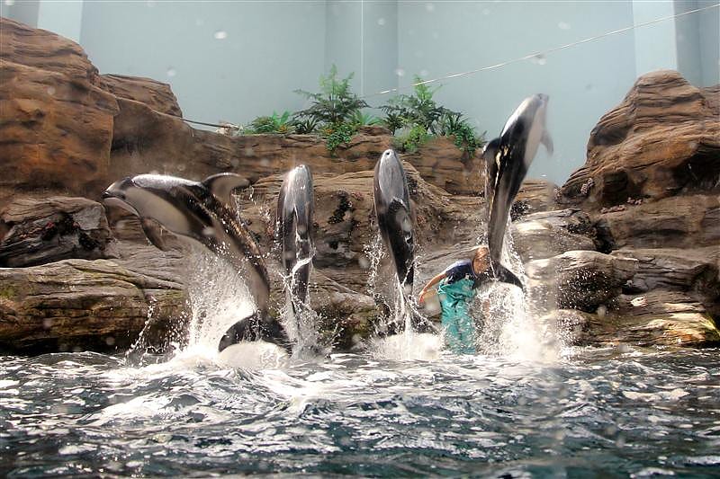 DSC00480.JPG DSC00480.JPG