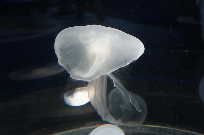 DSC00577.JPG DSC00577.JPG