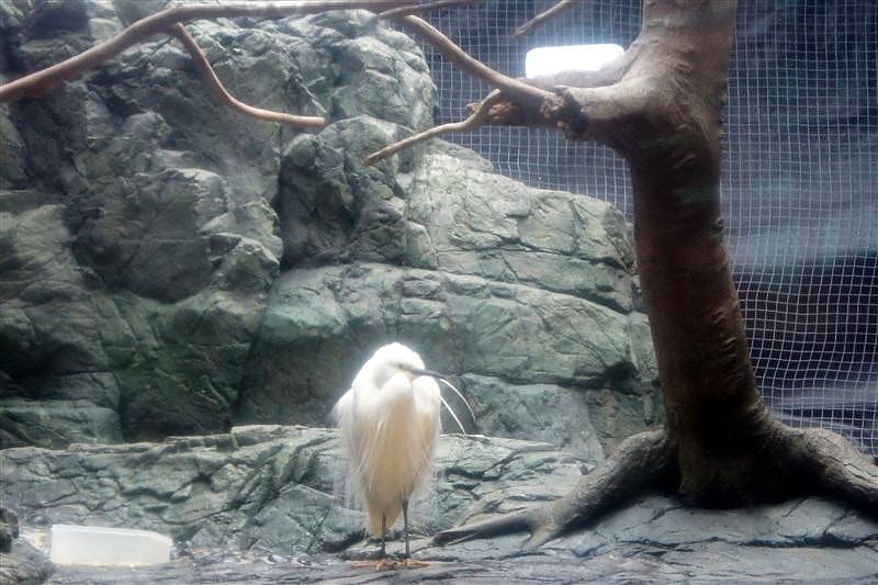 DSC00412.JPG DSC00412.JPG