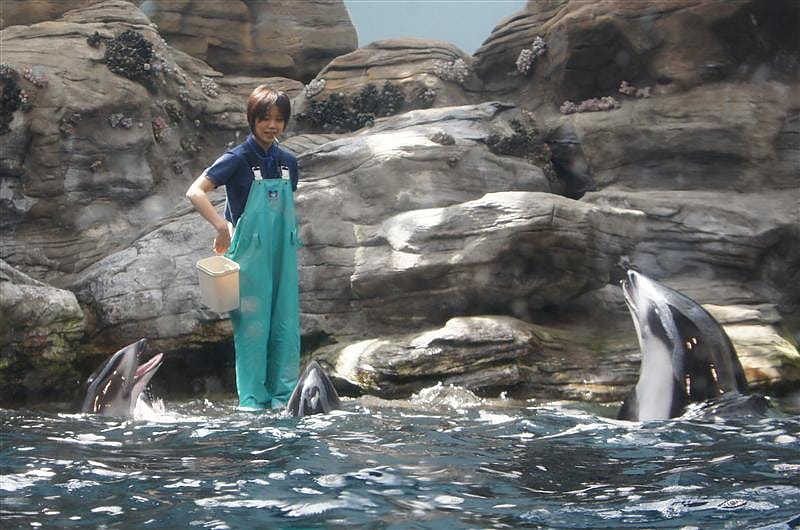 DSC00475.JPG DSC00475.JPG