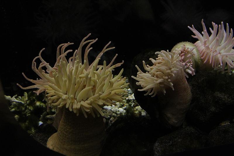 DSC00595.JPG DSC00595.JPG