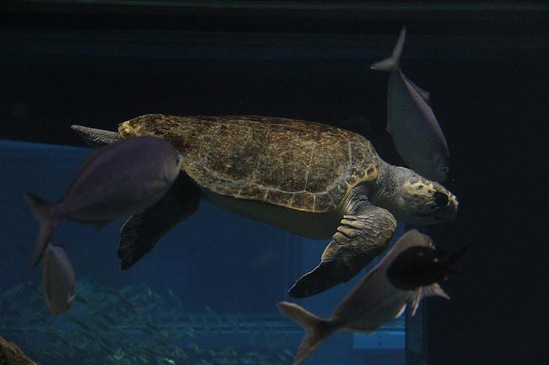 DSC00546.JPG DSC00546.JPG