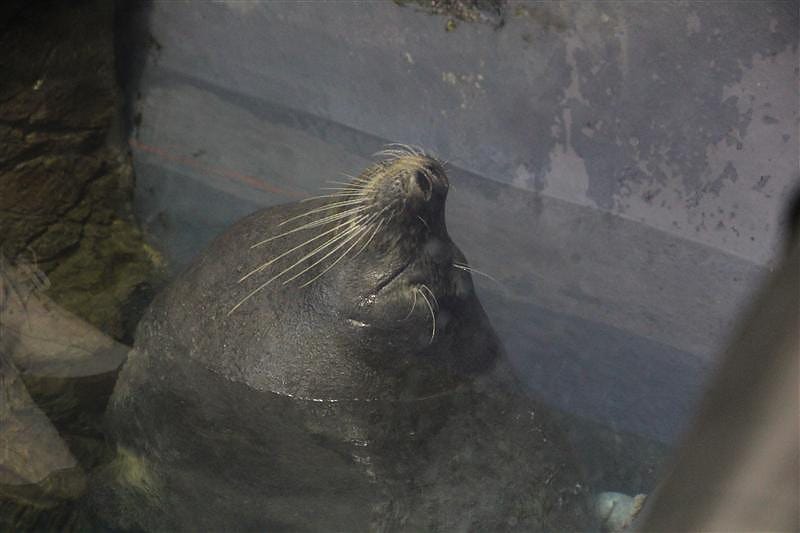 DSC00428.JPG DSC00428.JPG