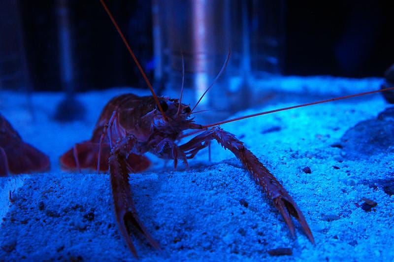 DSC00565.JPG DSC00565.JPG