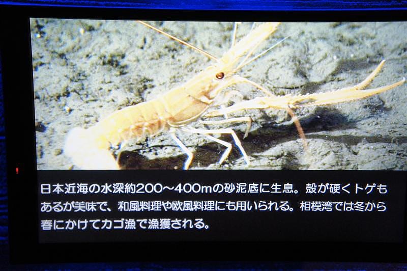 DSC00569.JPG DSC00569.JPG