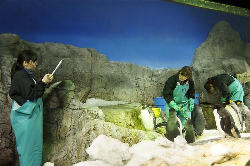 DSC00451.JPG DSC00451.JPG