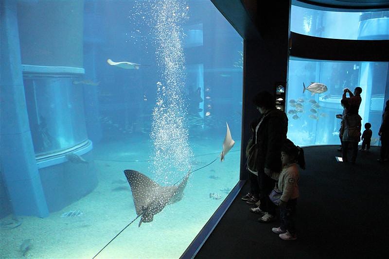 DSC00544.JPG DSC00544.JPG