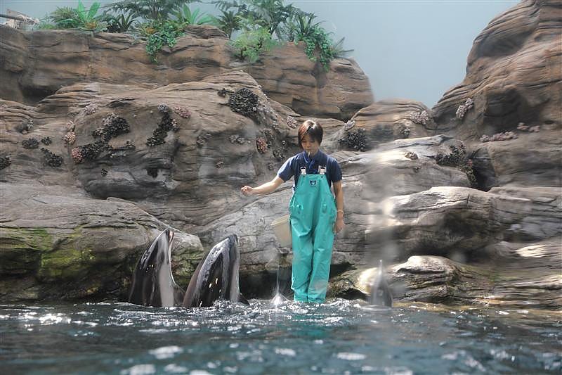 DSC00464.JPG DSC00464.JPG