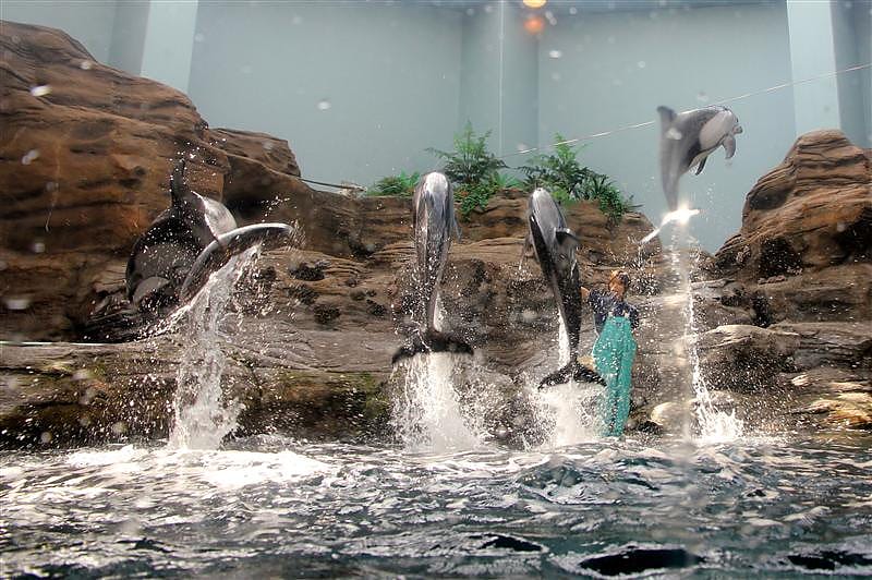 DSC00479.JPG DSC00479.JPG