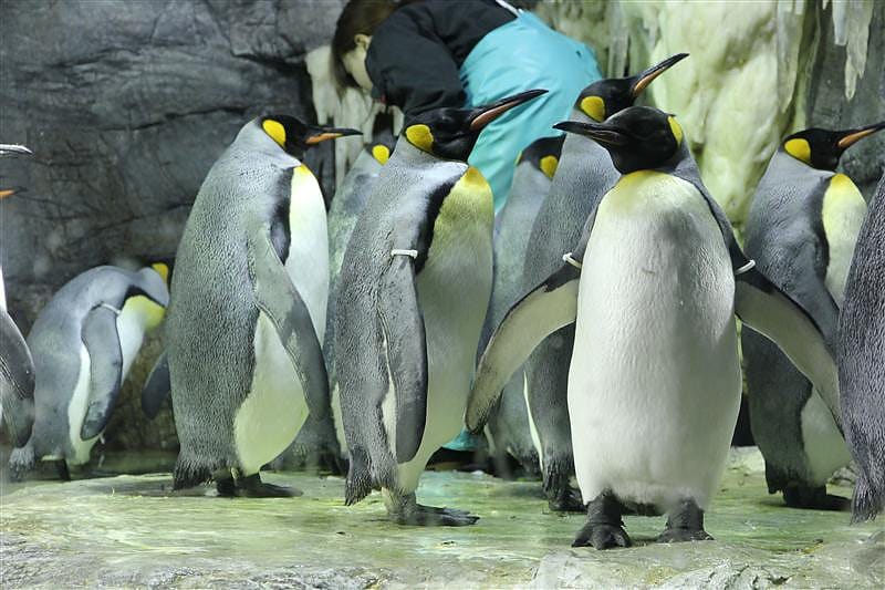 DSC00462.JPG DSC00462.JPG