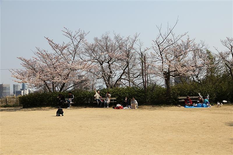 DSC00857.JPG DSC00857.JPG