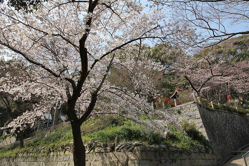 DSC00865(2).JPG DSC00865(2).JPG