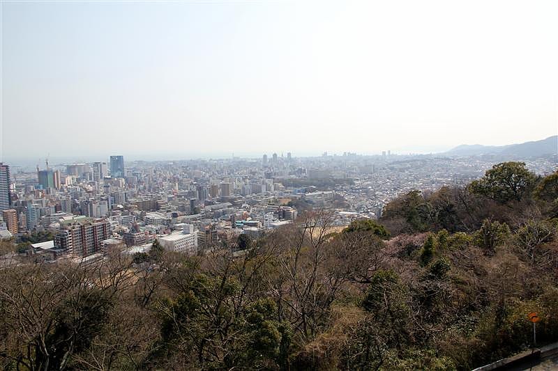 DSC00873.JPG DSC00873.JPG