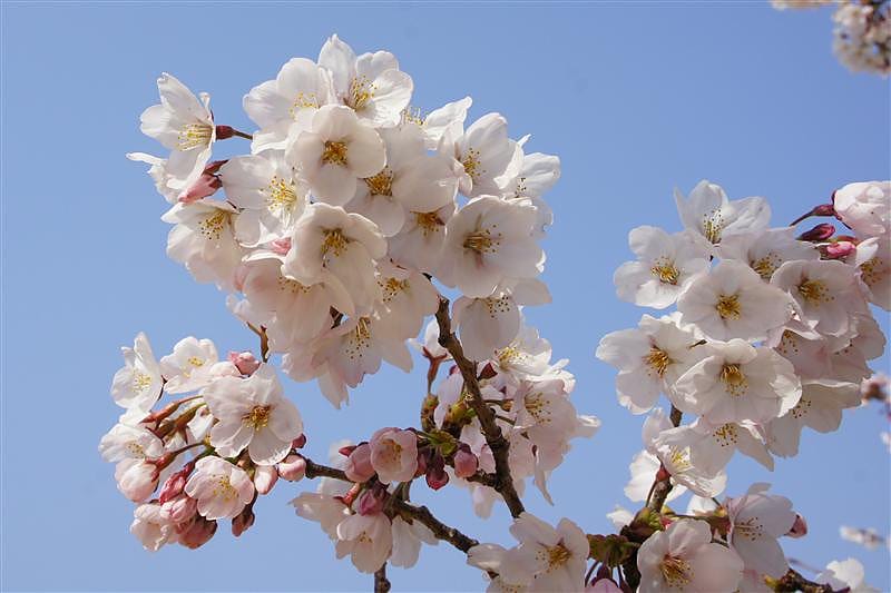 DSC00900.JPG DSC00900.JPG