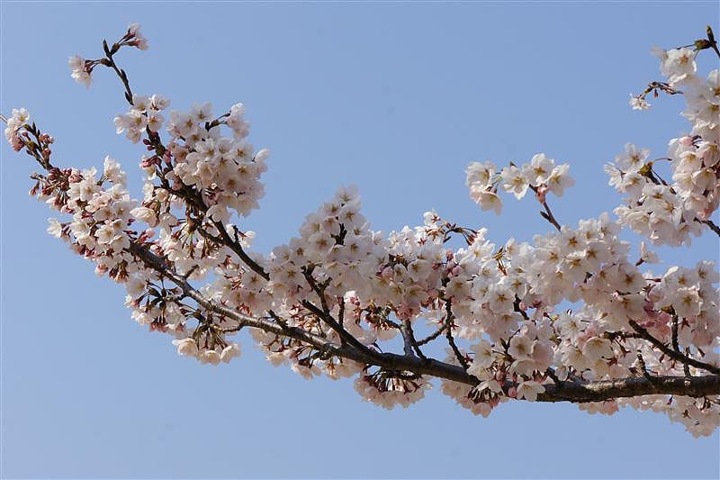 DSC00898.JPG DSC00898.JPG