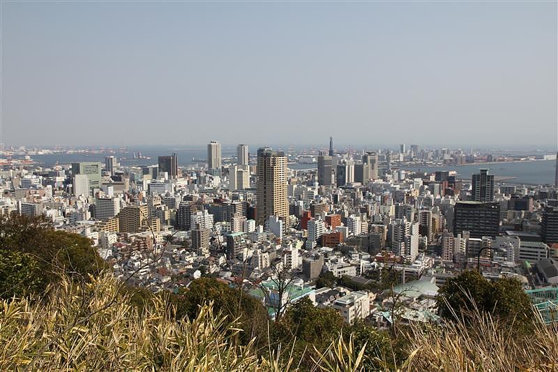 DSC00876.JPG DSC00876.JPG