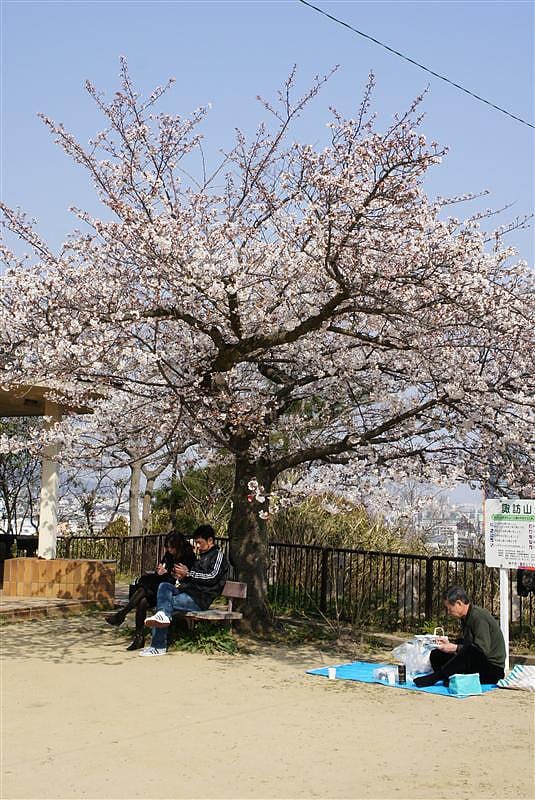 DSC00884.JPG DSC00884.JPG