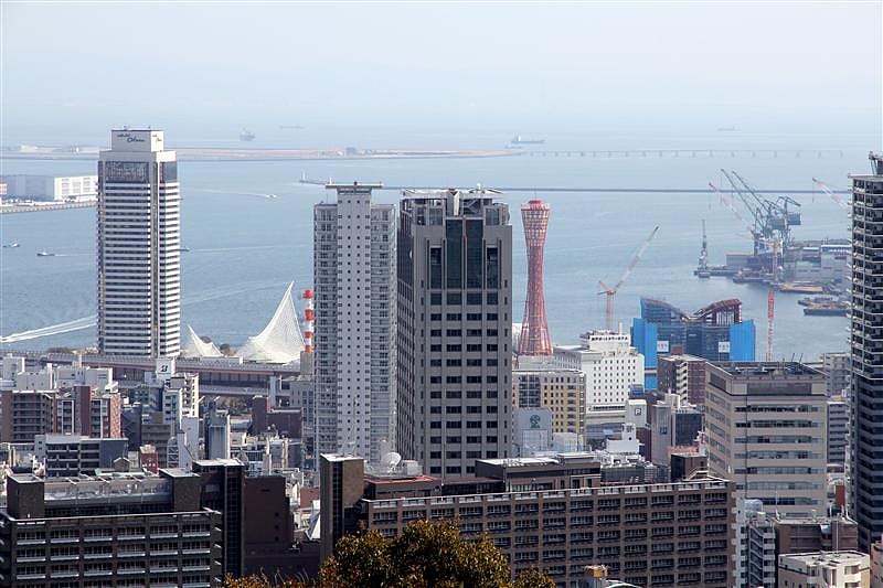 DSC00872.JPG DSC00872.JPG