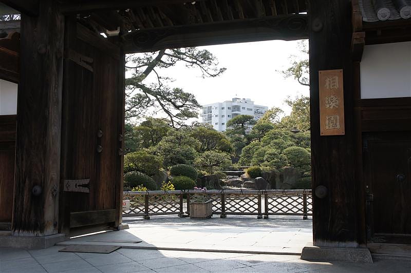 DSC00908.JPG DSC00908.JPG