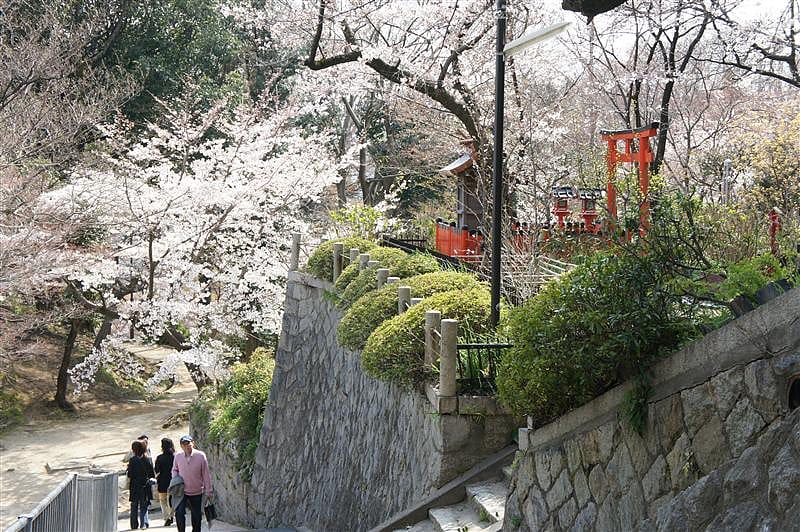 DSC00878.JPG DSC00878.JPG