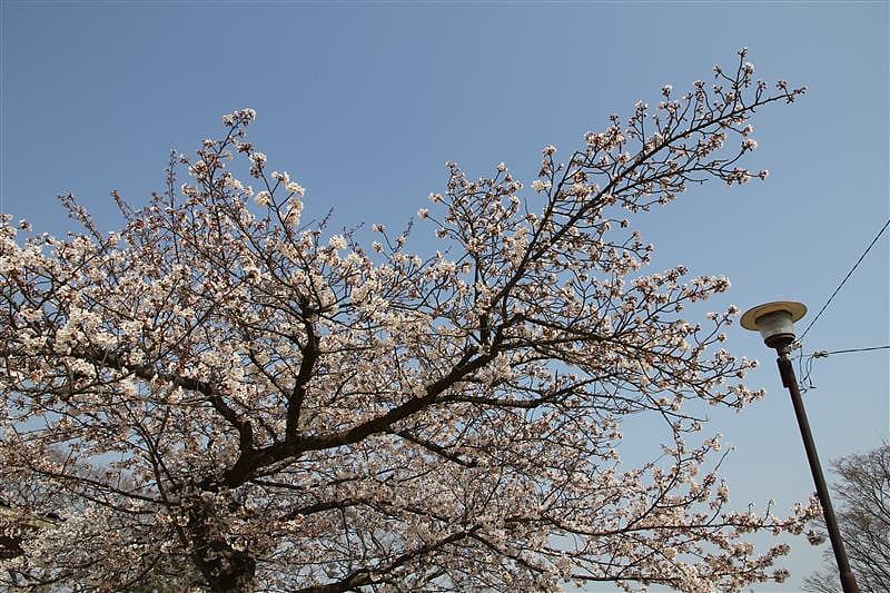 DSC00889.JPG DSC00889.JPG