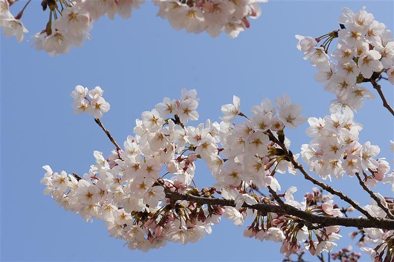 DSC00886.JPG DSC00886.JPG