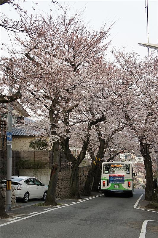 DSC00945.JPG DSC00945.JPG