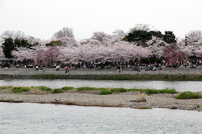 DSC02900.JPG DSC02900.JPG