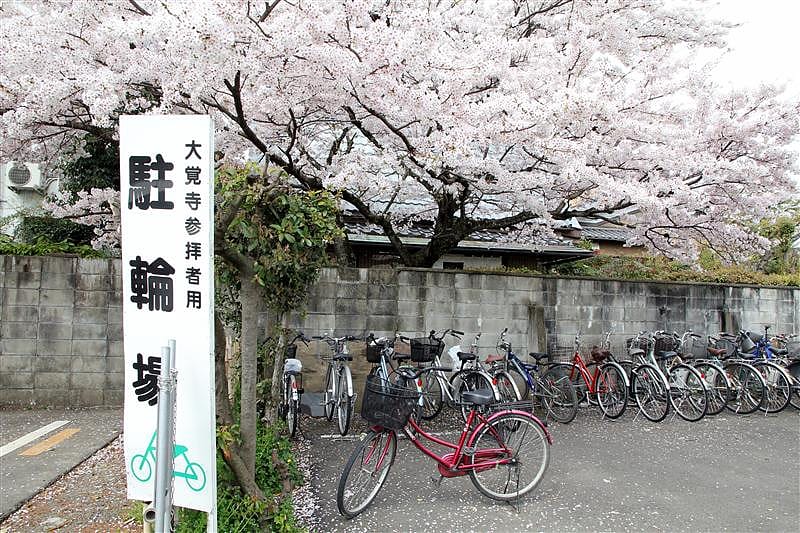 DSC02773.JPG DSC02773.JPG