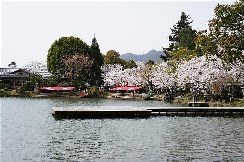 DSC02793.JPG DSC02793.JPG