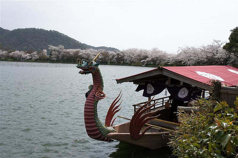 DSC02780.JPG DSC02780.JPG