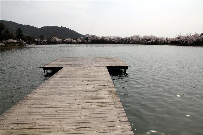 DSC02792(1).JPG DSC02792(1).JPG