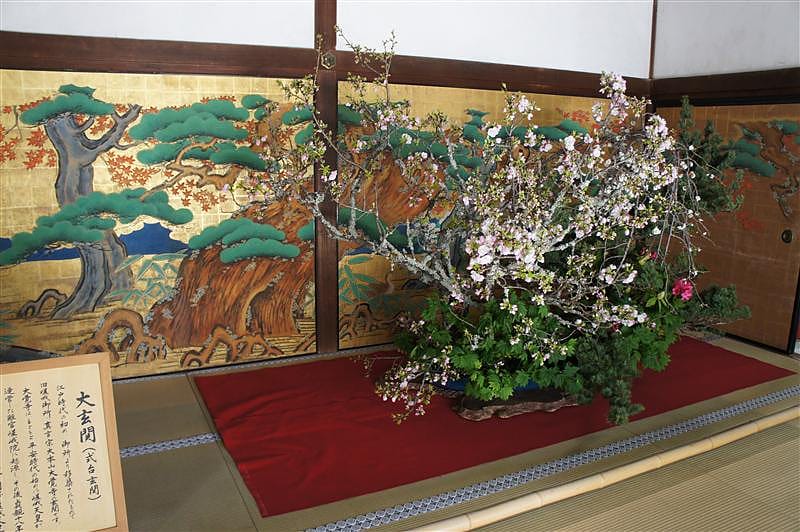 DSC02866.JPG DSC02866.JPG