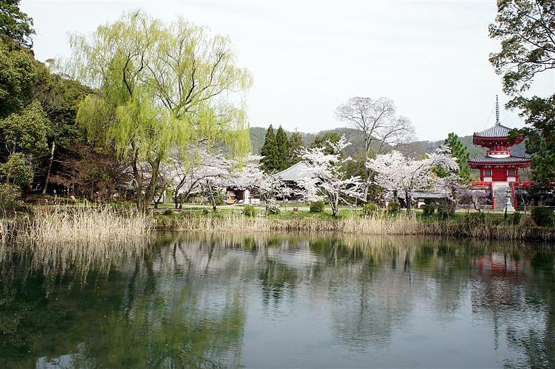 DSC02797.JPG DSC02797.JPG