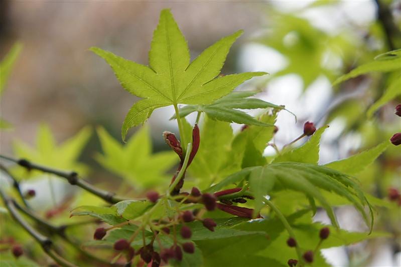 DSC02935.JPG DSC02935.JPG