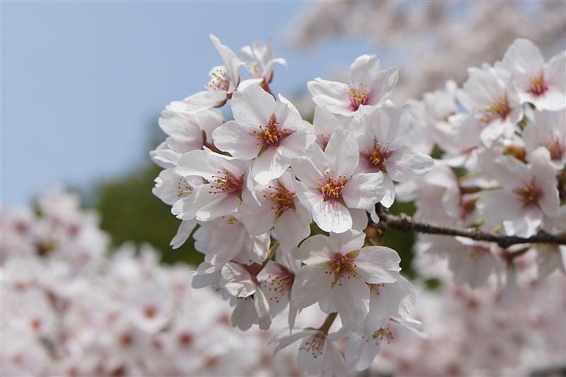 DSC02834.JPG DSC02834.JPG