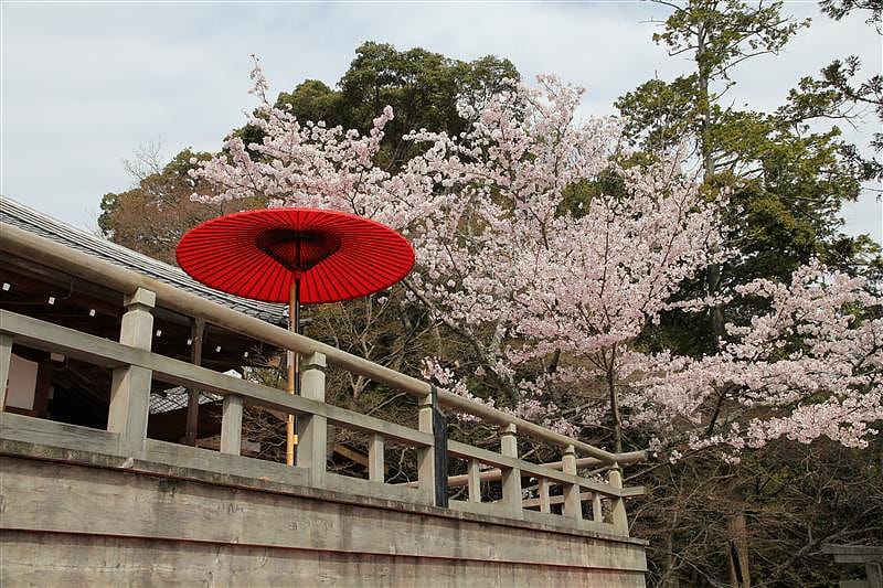 DSC02792(2).JPG DSC02792(2).JPG