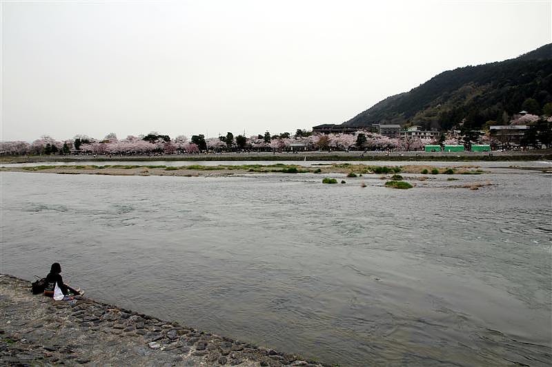 DSC02898(2).JPG DSC02898(2).JPG