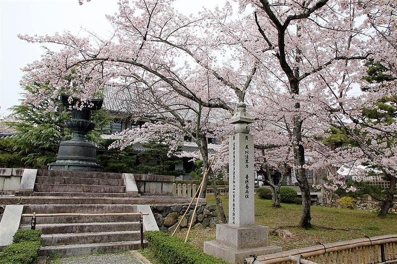 DSC02872(2).JPG DSC02872(2).JPG