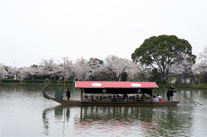 DSC02837.JPG DSC02837.JPG