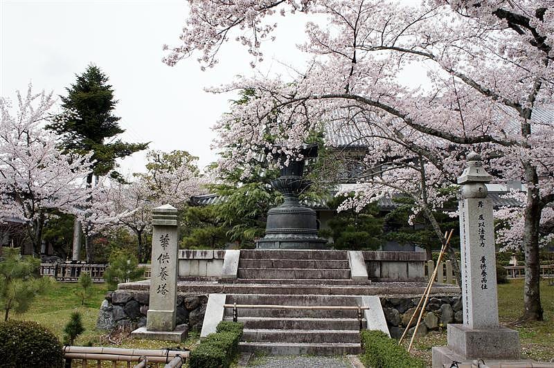 DSC02872.JPG DSC02872.JPG