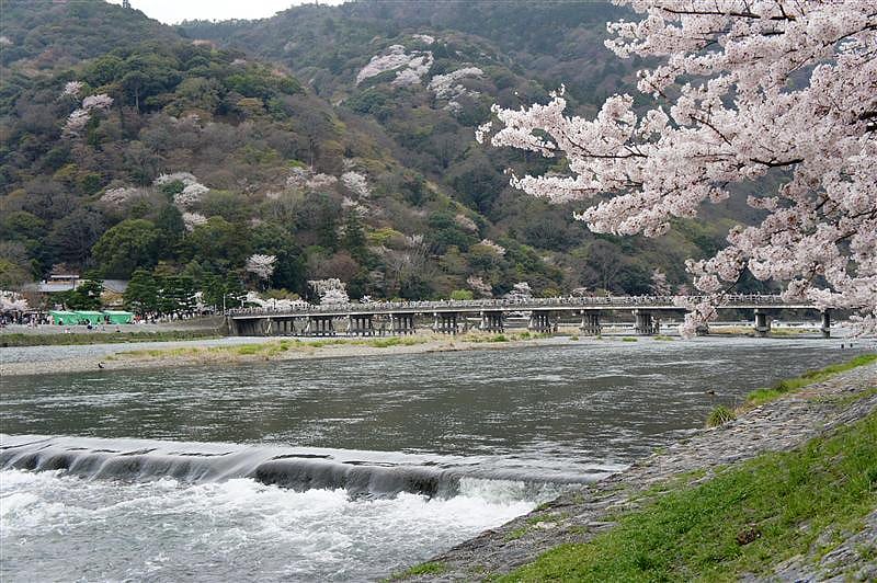 DSC02915.JPG DSC02915.JPG