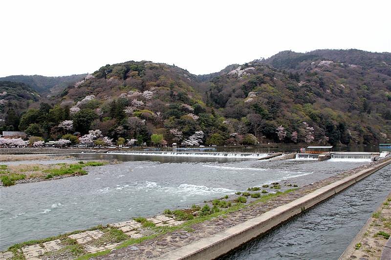 DSC02892.JPG DSC02892.JPG