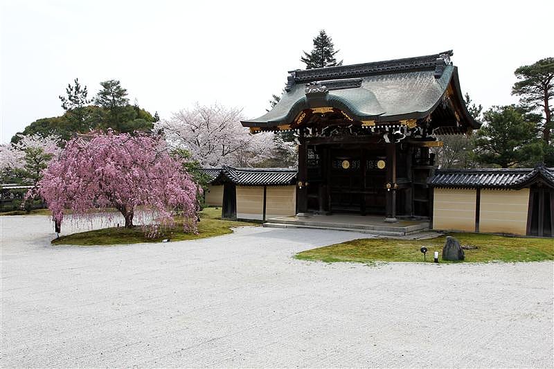 DSC02861.JPG DSC02861.JPG