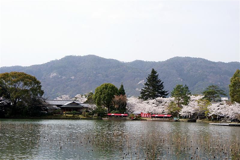 DSC02807.JPG DSC02807.JPG