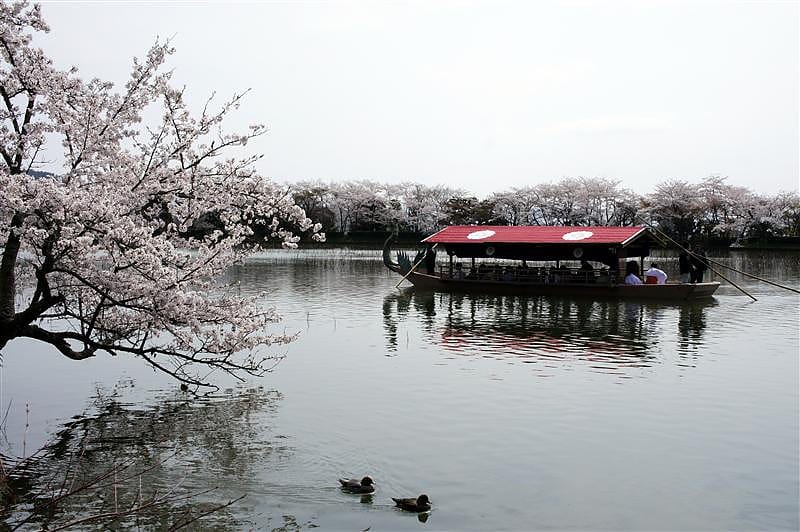 DSC02842.JPG DSC02842.JPG