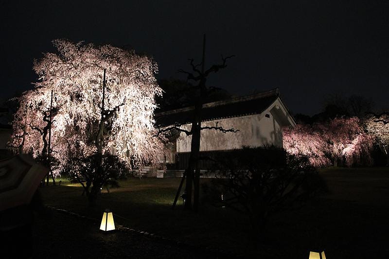 DSC03204.JPG DSC03204.JPG