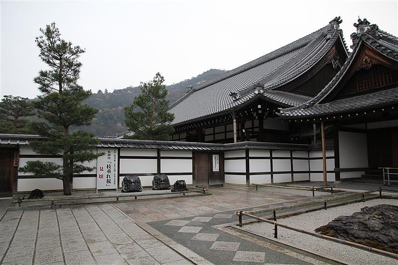 DSC03127(1).JPG DSC03127(1).JPG