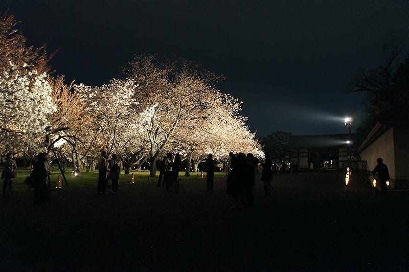 DSC03147.JPG DSC03147.JPG